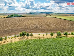 Prodej zemědělské půdy, Žatčany, 25490 m2