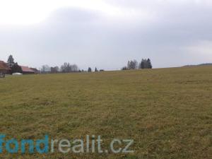 Prodej zemědělské půdy, Horní Planá, 45926 m2