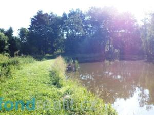 Prodej trvalého travního porostu, Hospříz, 9504 m2