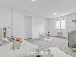 Prodej bytu 2+kk, Ostrava, Alšovo náměstí, 53 m2