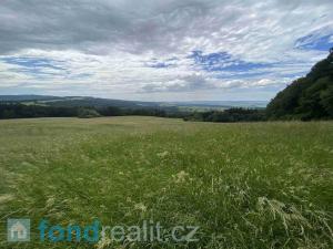 Prodej zemědělské půdy, Korytná, 7545 m2