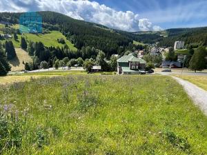 Prodej trvalého travního porostu, Pec pod Sněžkou, 749 m2