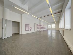 Prodej výrobních prostor, Jindřichův Hradec, Stará cesta, 1600 m2