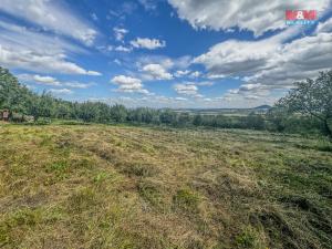 Prodej zahrady, Třebenice, 3500 m2