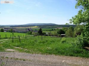 Prodej pozemku, Pšov, 945 m2