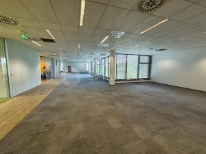 Pronájem kanceláře, Brno - Královo Pole, Technická, 1000 m2