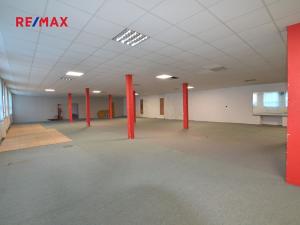 Pronájem obchodního prostoru, Frýdek-Místek, Třebízského, 500 m2