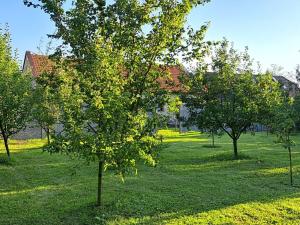 Prodej pozemku pro bydlení, Neratovice, 700 m2