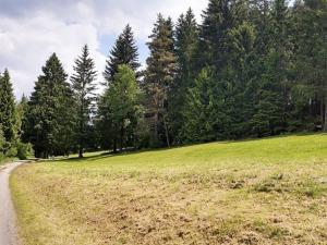 Prodej pozemku pro bydlení, Přední Výtoň, Frýdava, 2152 m2