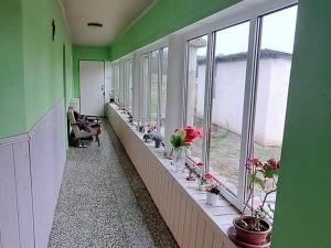 Prodej rodinného domu, Valtice, 160 m2