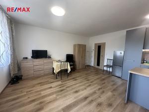 Prodej bytu 1+kk, České Budějovice, Krčínova, 42 m2