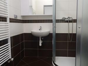 Pronájem bytu 1+kk, Nový Jičín, Hoblíkova, 37 m2