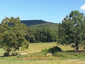 Prodej pozemku pro bydlení, Louňovice pod Blaníkem, Na Oboře, 1416 m2