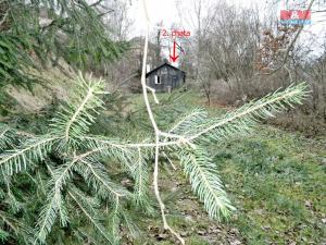 Prodej chaty, Ledeč nad Sázavou, Na potoce, 40 m2