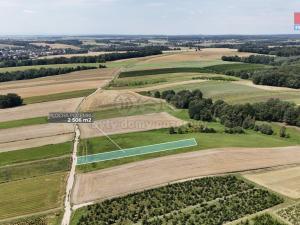 Prodej zemědělské půdy, Ludgeřovice, 2506 m2