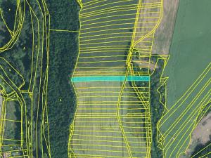 Prodej pole, Nová Ves, 1416 m2