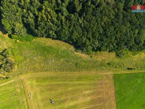 Prodej zemědělské usedlosti, Hracholusky - Obora, 301 m2