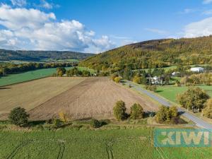 Prodej pozemku pro komerční výstavbu, Mankovice, 21944 m2