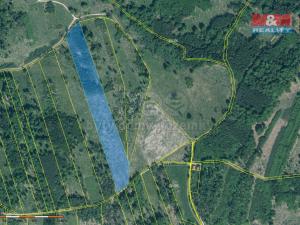 Prodej lesa, Jetětice, 36550 m2