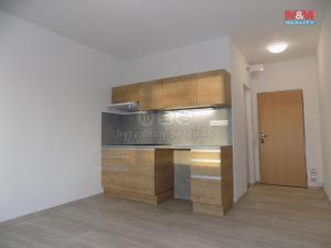 Pronájem bytu 1+kk, Děčín - Děčín II-Nové Město, Kamenická, 20 m2