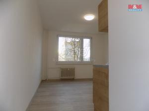 Pronájem bytu 1+kk, Děčín - Děčín II-Nové Město, Kamenická, 20 m2