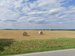 Prodej zemědělské půdy, Tichonice, 15602 m2