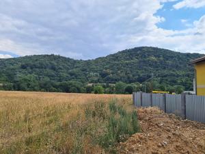 Prodej pozemku pro komerční výstavbu, Ústí nad Labem, Petrovická, 14946 m2