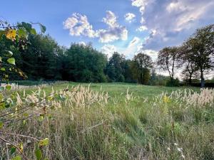 Prodej pozemku pro bydlení, Pyšely, Pod Oborou, 1562 m2