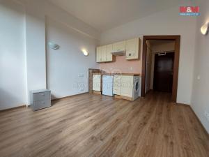 Pronájem bytu 1+kk, Praha - Písnice, Na okruhu, 20 m2