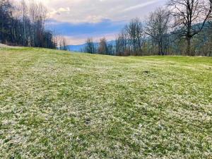 Prodej pozemku pro bydlení, Záblatí, 5047 m2