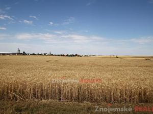 Prodej zemědělské půdy, Blanné, 24000 m2