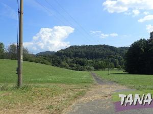 Prodej trvalého travního porostu, Hodkovice nad Mohelkou, 49051 m2