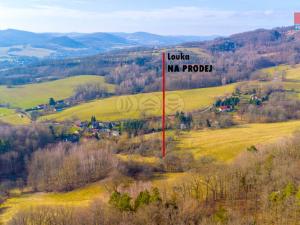 Prodej trvalého travního porostu, Žandov - Radeč, 3251 m2