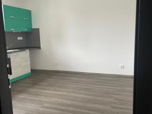 Pronájem bytu 1+kk, Chodov, Staroměstská, 21 m2