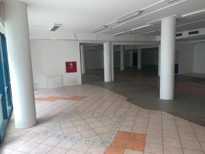 Pronájem obchodního prostoru, Praha - Vinohrady, Chrudimská, 242 m2