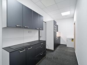 Pronájem bytu 6+kk, Praha - Michle, U Plynárny, 145 m2