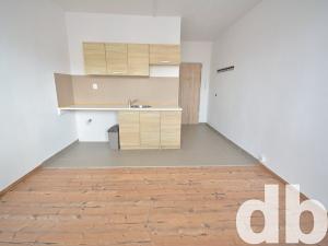 Pronájem bytu 1+kk, Nové Sedlo, Sadová, 20 m2