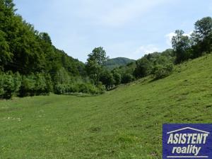 Prodej trvalého travního porostu, Vernířovice, 75965 m2