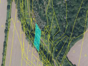 Prodej podílu trvalého travního porostu, Sebranice, 413 m2