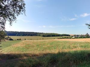 Prodej podílu zemědělské půdy, Rynholec, 19655 m2