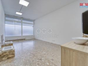 Pronájem obchodního prostoru, Plzeň - Bolevec, Sokolovská, 310 m2