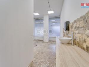 Pronájem obchodního prostoru, Plzeň - Bolevec, Sokolovská, 310 m2