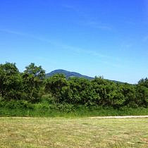 Prodej zemědělské půdy, Budyně nad Ohří - Vrbka, 26705 m2