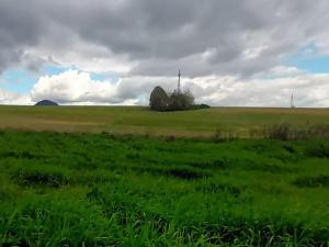 Prodej trvalého travního porostu, Sloup v Čechách, 137278 m2