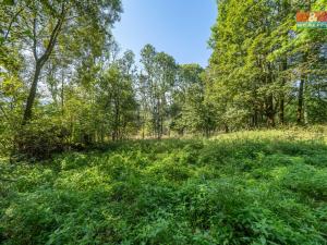 Prodej rodinného domu, Klenčí pod Čerchovem - Jindřichova Hora, 110 m2