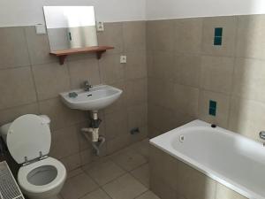 Pronájem bytu 1+1, Žatec, Dlouhá, 50 m2