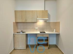 Pronájem bytu 1+kk, Otvovice, 40 m2