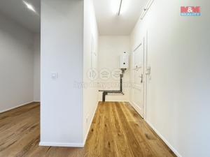 Prodej bytu 2+kk, Praha - Nusle, Pod lázní, 54 m2