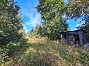 Prodej rodinného domu, Heřmanice u Oder - Véska, 250 m2