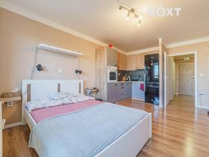 Pronájem bytu 1+kk, Ostrava, Varenská, 26 m2